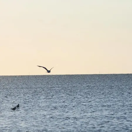 Appartmenthaus Nordlicht * קושהאבן