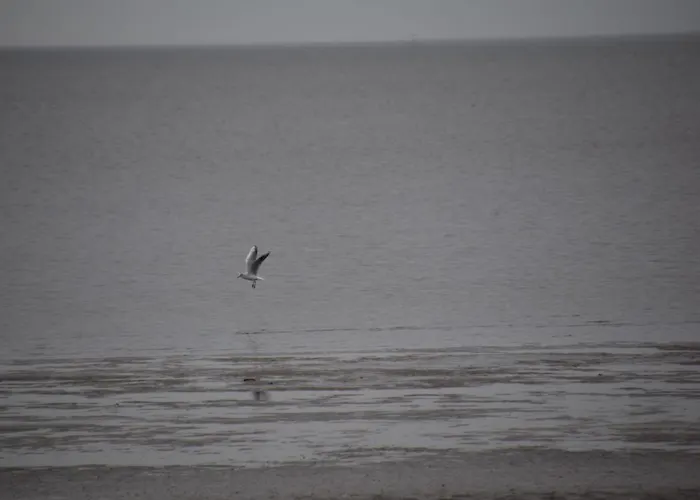 Appartmenthaus Nordlicht